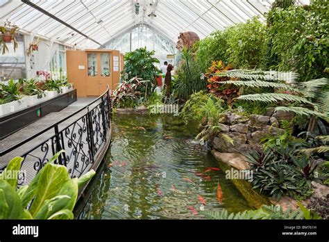 Queens Park Glasshouses: Eine botanische Oase der Entspannung und Schönheit!