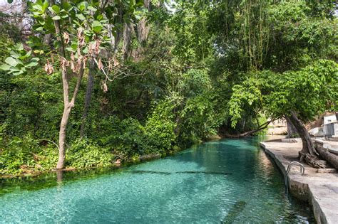 Die Wunderbare Welt des Wikki Warm Springs: Ein unvergessliches Naturerlebnis im Herzen Nigerias!